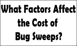 Bug Sweeping Cost Factors in Littlehampton